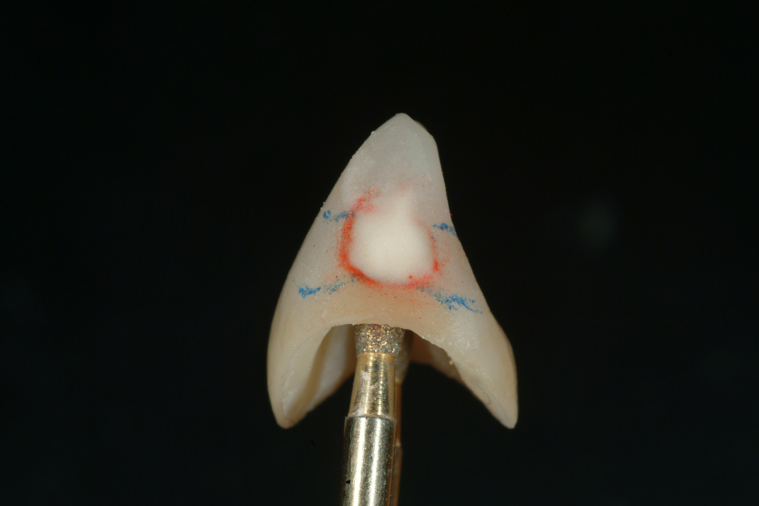 Estuche de 3 lapices bicolores