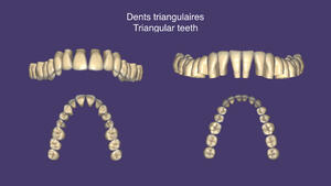 Librairies numériques Gérald Ubassy/Pierre Bousquet