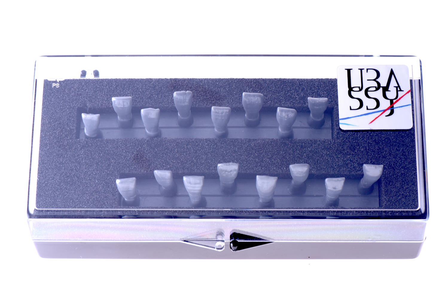 Special price Set of upper central square incisives series 2