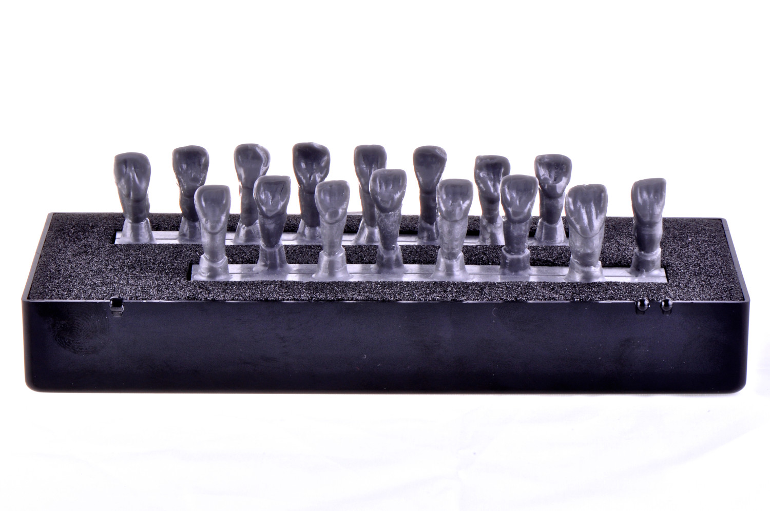 Set of anterior central teeth - ovoid shape